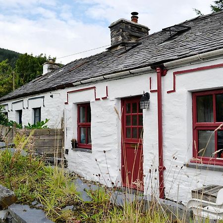 Bryn Rhos Goch Vila Dolwyddelan Exterior foto